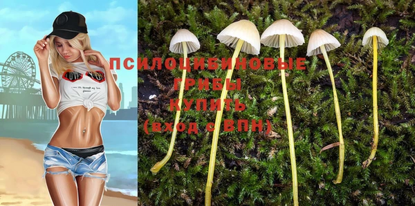 круглые Арсеньев