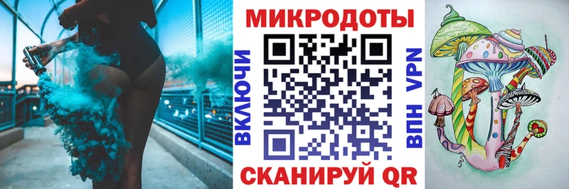 Галлюциногенные грибы Psilocybe  Плавск 